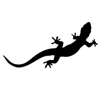 Geko